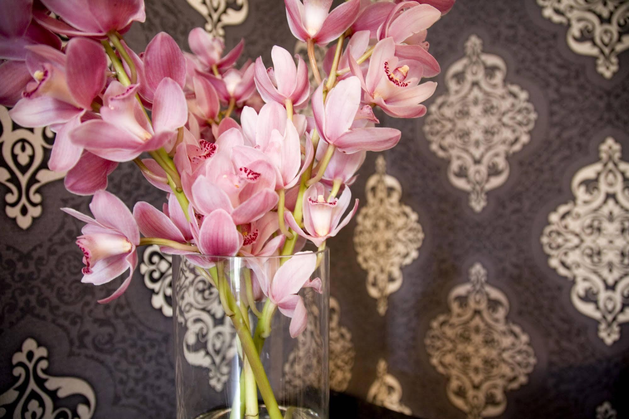 Hotel Challis Potts Point Сидней Экстерьер фото